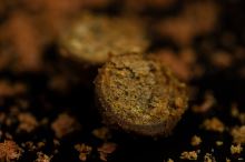 Sticky Baits Boilie The Krill Active Shelf Life (2)