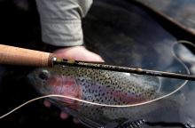 Scierra Prut Brook 8 ft #4 Rec. Wt. 9-11 g (4)