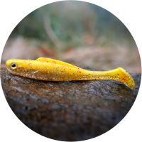 RedBass Gumová Nástraha Ripper Kicker Yellow RGT - XS 42 mm 0,6 g