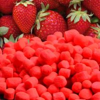 Kamikaze Carp Plovoucí Nástraha Marshmallow 120 ks (5)