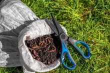 Preston Innovations Nůžky Na Žížaly Worm Scissors (7)