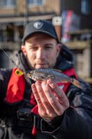 Fox Rage Jigová Hlavička XS Fireball Tiger (5)