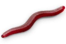 Delphin Umělá Nástraha B! StinxWORM 4 cm 50 ks (2)