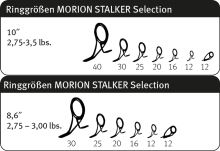 Sportex Prut Morion Stalker Breakout 3 m 3 lb (6)