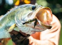 Savage Gear Gumová Nástraha Ned Salamender Floating Green Pumpkin 7,5 cm 3 g (2)