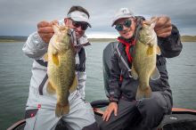 Fox Rage Kalhoty Light Camo RS Triple Layer Salopettes - XXXL (25)