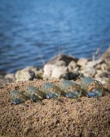 Matrix Krmítko Plastic Open Ended Feeder S (13)