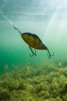 Salmo Wobler Slider Sinking Chart (6)