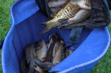 Preston Innovations Vážící Sak Heavy Duty Weigh Bag (5)