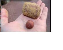 Mikbaits Mamut boilie 1 kg 50/35 mm (1)