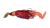 Abu Garcia Třpytka Beast Bladed Jig Sinking Redtiger 25 cm 50 g