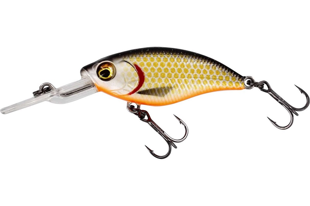 Levně Westin wobler buzzbite crankbait suspending official roach 6 cm 10 g