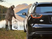 Delphin 3D Nálepka Carp Chrom (1)