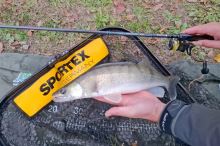Sportex Prut Black Arrow G-4 Spin 2,7 m 18-95 g (9)