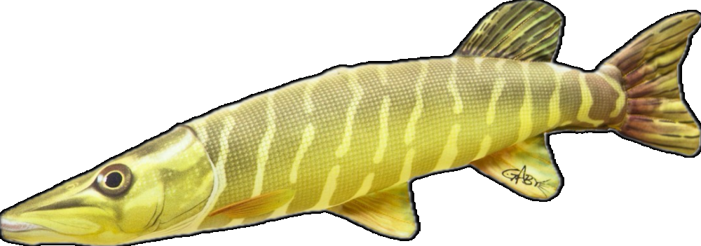 Levně Gaby plyšová ryba štika mini 45 cm