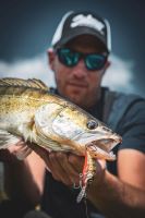 Salmo Wobler Rattlin Hornet Floating Hot Perch (6)