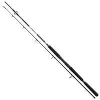 Daiwa Prut BG Pilk 2,10 m 40-125 g Daiwa Prut BG Pilk 2,10 m 40-125 g