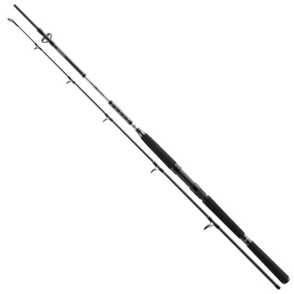 Daiwa Prut BG Boat 2,10 m 150-400 g