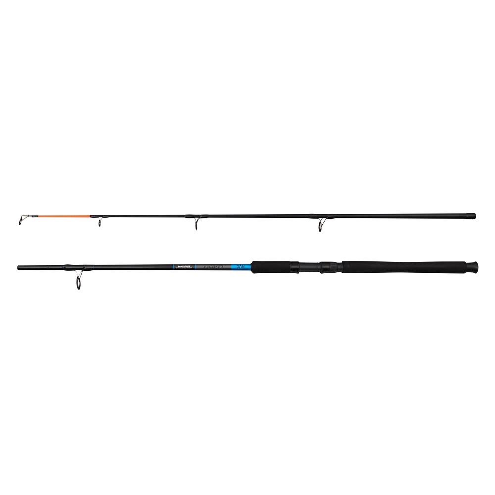 Dam prut nova sw boat 2,1 m 100-250 g 2-díl