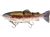 Westin Gumová Nástraha Tommy The Trout Inline Real Rainbow Trout
