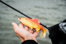 Fox Rage Gumová Nástraha Ultra Realistic Replicant Roach Golden Roach (5)