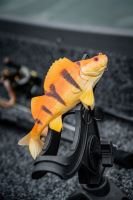 Fox Rage Gumová Nástraha Ultra Realistic Replicant Perch Golden Perch (6)