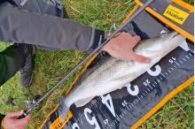 Sportex Prut Graphenon RS-2 Spin 2,7 m 17-76 g (6)