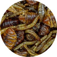 My-Baits Mix Hmyzu Destruction Insects PVA Friendly & Ready To Use 1,5 l My-Baits Mix Hmyzu Destruction Insects PVA Friendly & Ready To Use 1,5 l