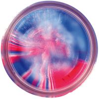 Berkley Těsto Pstruh 50g (16)