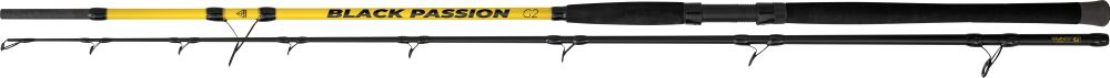 Levně Black cat prut passion g2 allround 2,7 m 600 g