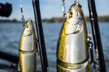 Shimano Wobler Yasei Soul Swim Suspending Red Tiger (6)