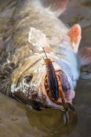 Fox Rage Gumová Nástraha Critter Ultra UV Lemon Tiger (1)