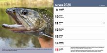 ČRS Stolní Rybářský Kalendář Na Rok 2025 (1)