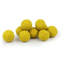 Nikl Boilie Ready Corn (1)