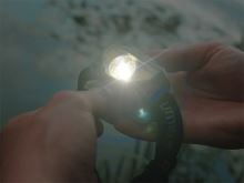 Delphin Čelovka Lumis (7)