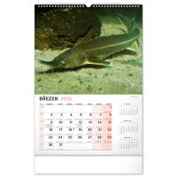 PGCZ Nástěnný Rybářský Kalendář 2026 CZ 33x46 cm (4)
