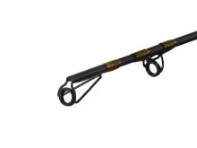 Delphin Prut SymbolCat Bronze 2,85 m 500 g (5)