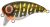 Spro Wobler Fat Iris 50 Northern Pike 5 cm 10 g