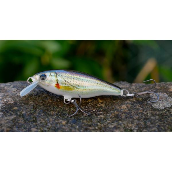3Stan Wobler Belly Minnow BM40 H-WF 4 cm 2,8 g