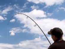 Delphin Prut Castix 3,85 m 3,75 lb (9)