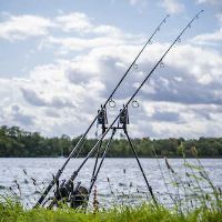 Avid Carp Hrazda Lok Down 2 Rod Buzz Pod (3)