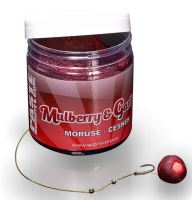 Sportcarp Pasta 250 ml (5)