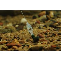 Aquateko Transparentní Obratlík InvisaSwivel 5 ks (2)