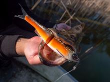 Berkley Gumová Nástraha PowerBait Nessie Rainbow Trout (8)