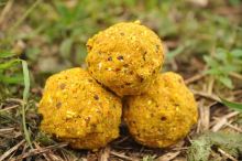 Mivardi Krmítková Směs V1 Kapr Med 3 kg (1)