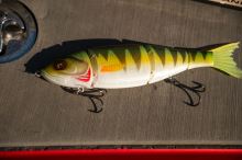 Fox Rage Gumová Nástraha Replicant Swim Pike 18 cm (7)
