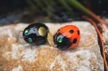 Salmo Wobler Chub Pack 3 ks (1)