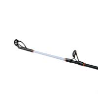 Shimano Prut Beastmaster AX Catfish Casting Vertical 1,85 m 200 g (6)