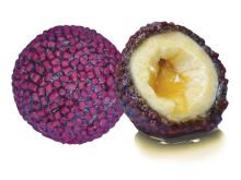 LK Baits Boilie Nutrigo Pellets Red Halibut LK Baits Boilie Nutrigo Pellets Red Halibut