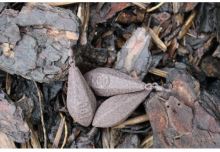 Zfish Zátěž Horizon Lead BN (1)